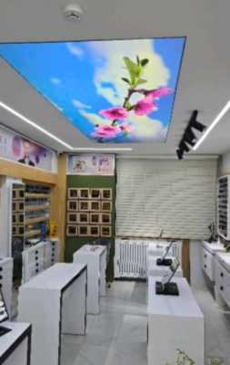 تخصص و تجربه